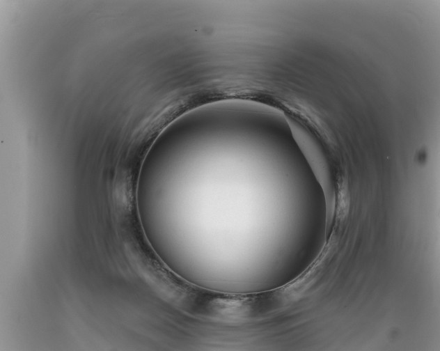 X0000089340170200706221125
