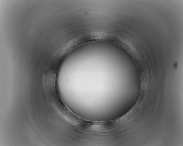 X0000089340171200706221125