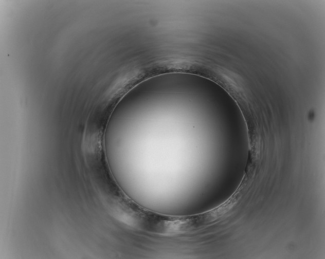 X0000089340172200706221125