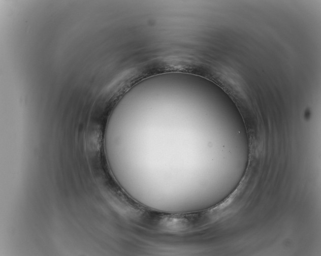 X0000089340174200706221125