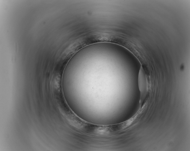 X0000089340175200706221125