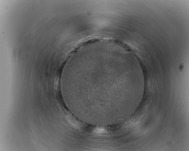 X0000089340177200706221125