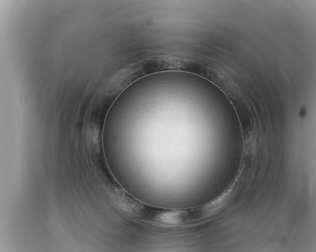X0000089340178200706221125