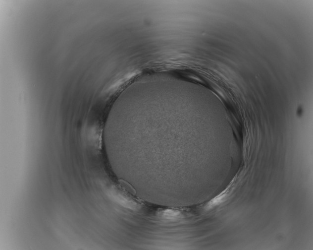 X0000089340180200706221125