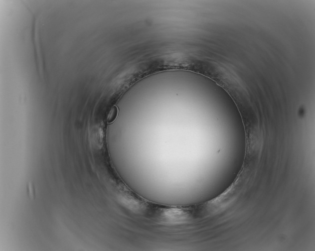 X0000089340183200706221125
