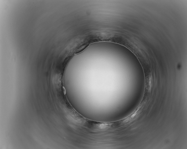 X0000089340184200706221125