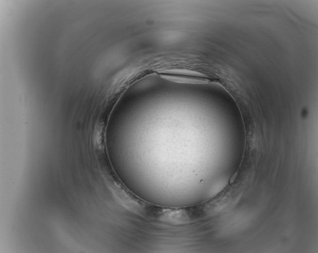 X0000089340185200706221125
