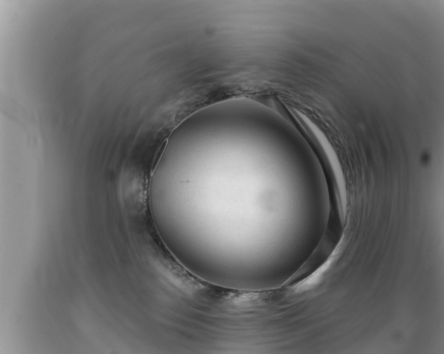 X0000089340186200706221125