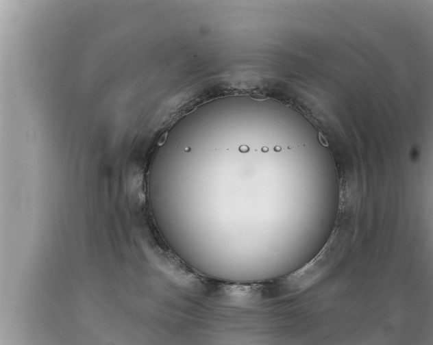 X0000089340187200706221125