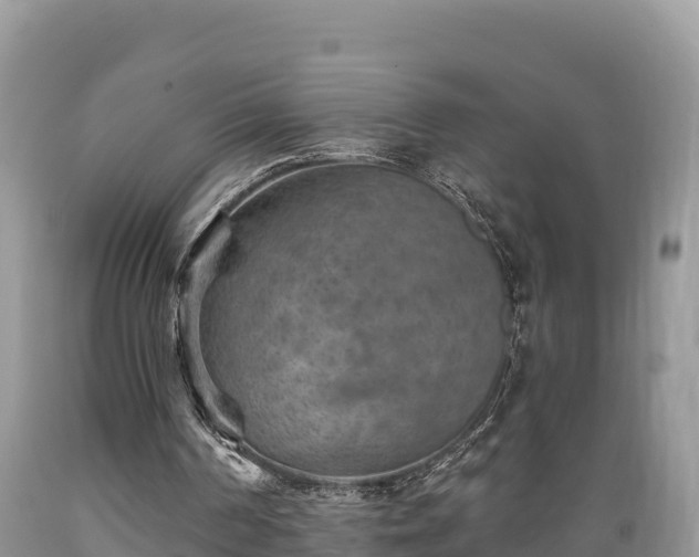 X0000089340194200706221124