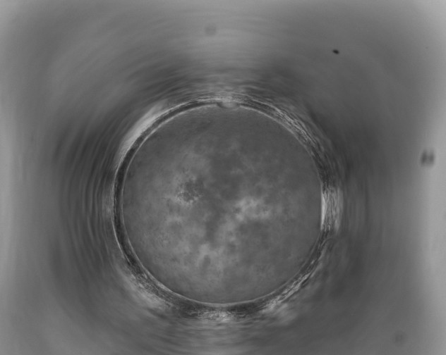X0000089340195200706221124