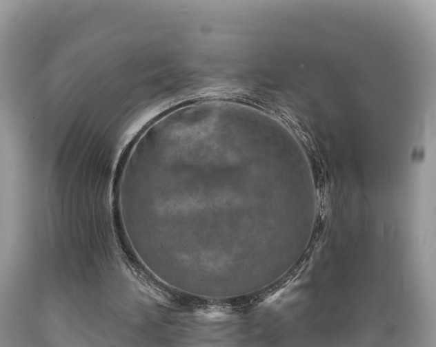 X0000089340196200706221124