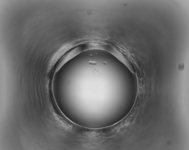 X0000089340197200706221124