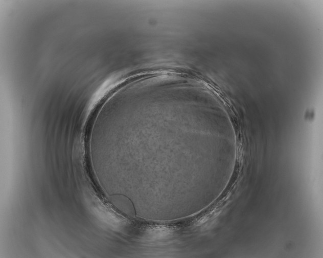 X0000089340198200706221124