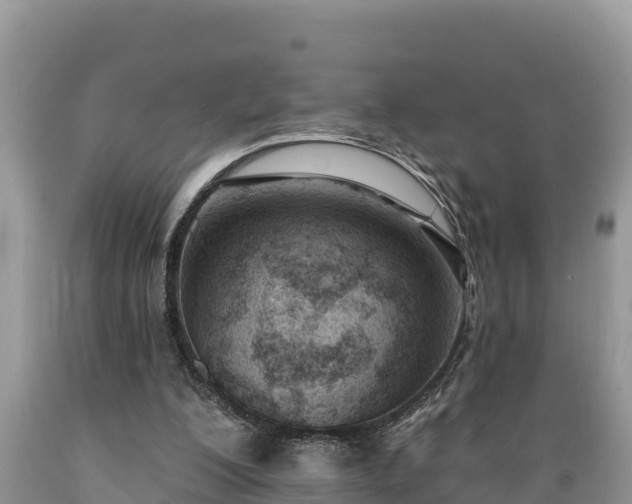 X0000089340200200706221124