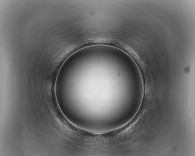 X0000089340201200706221124