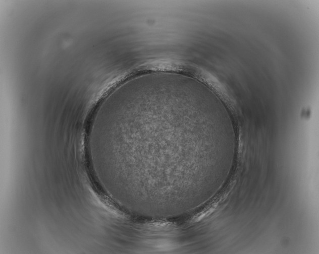 X0000089340202200706221124