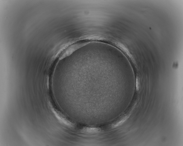 X0000089340205200706221124