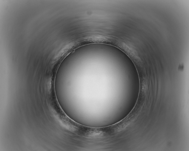 X0000089340206200706221124