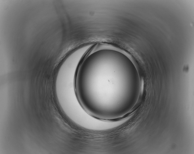 X0000089340207200706221124