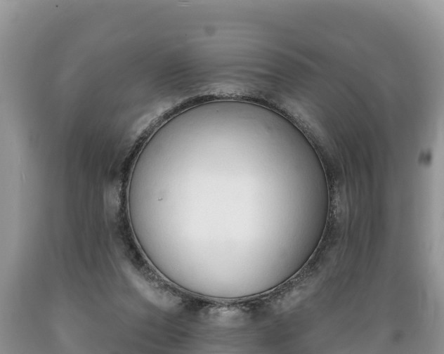 X0000089340208200706221124