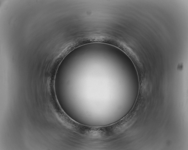 X0000089340209200706221124
