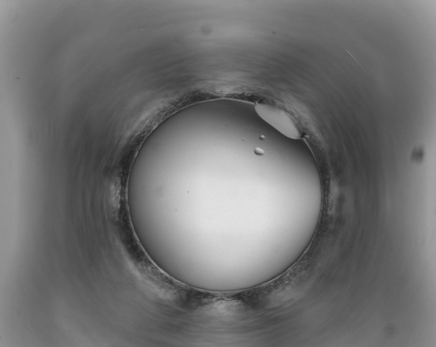 X0000089340210200706221124