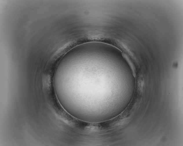 X0000089340211200706221124