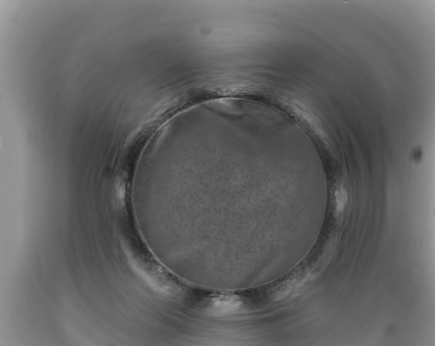 X0000089340214200706221124