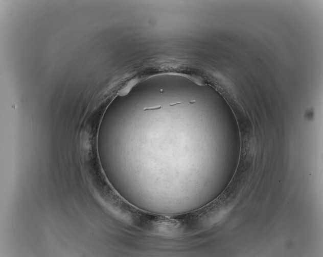 X0000089340215200706221124