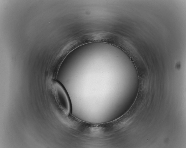 X0000089340216200706221124