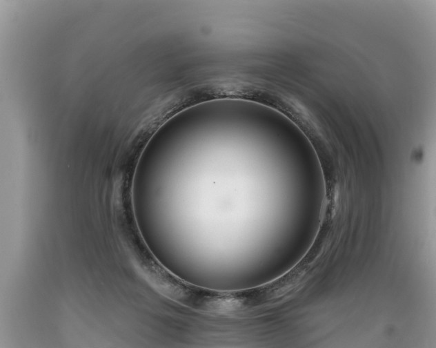 X0000089340217200706221124