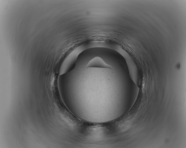 X0000089340219200706221124