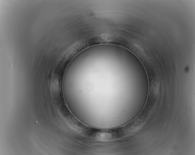 X0000089340220200706221124