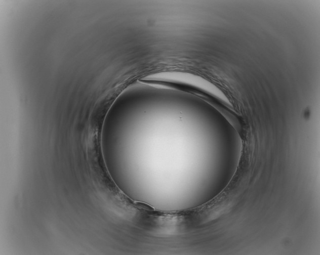 X0000089340225200706221124