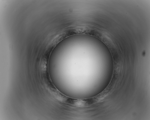 X0000089340226200706221124