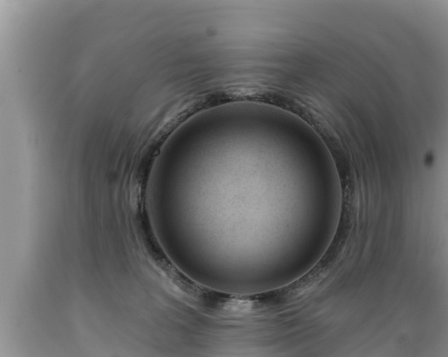 X0000089340227200706221124
