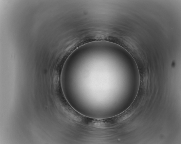 X0000089340228200706221124