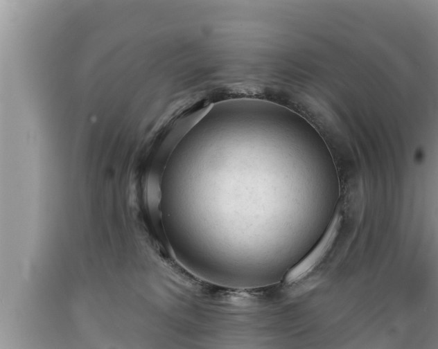 X0000089340229200706221124