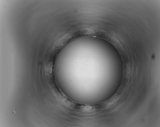 X0000089340230200706221124