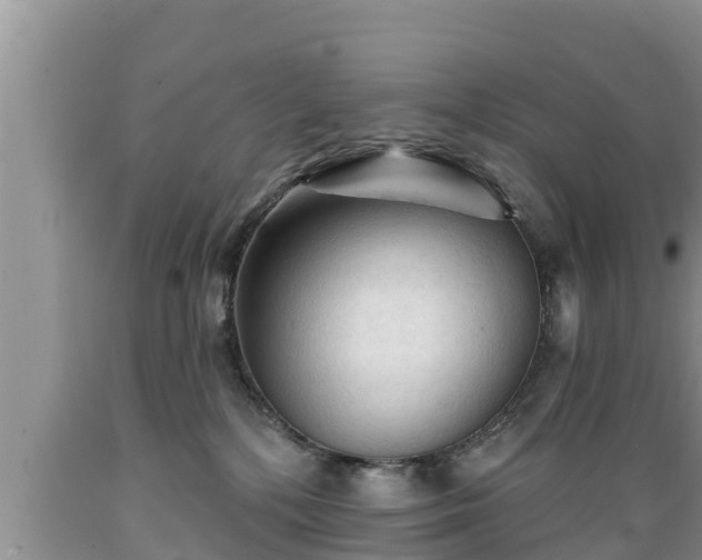 X0000089340232200706221124
