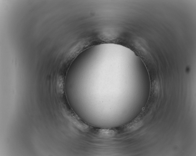 X0000089340234200706221124