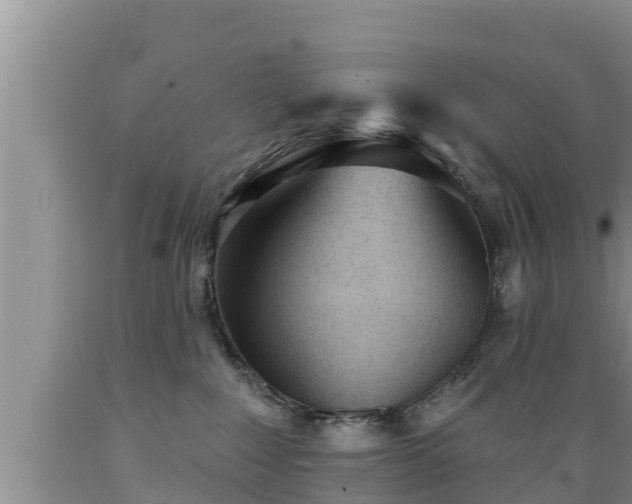 X0000089340235200706221124