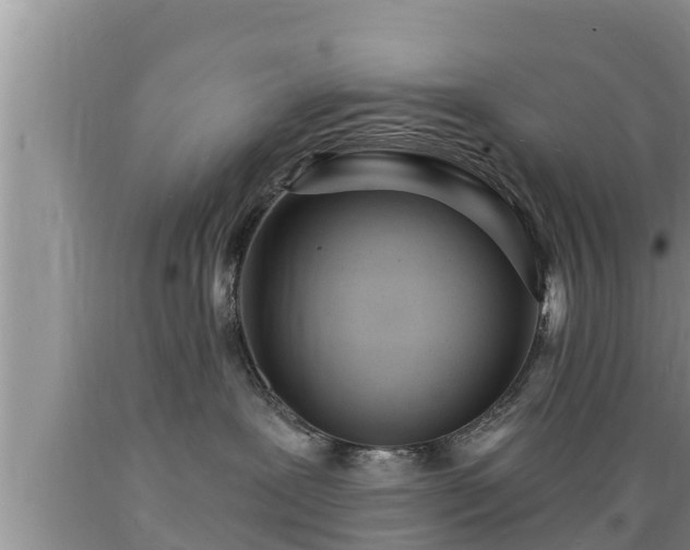 X0000089340239200706221124