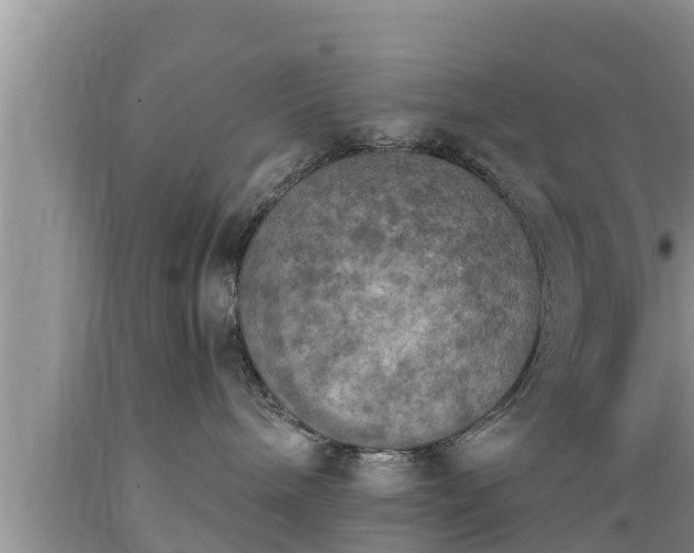 X0000089340240200706221124