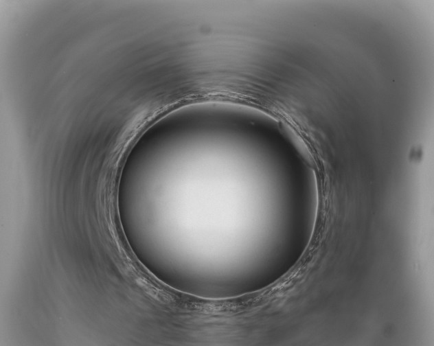 X0000089340241200706221123