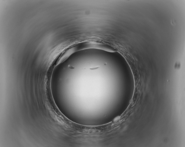 X0000089340242200706221123