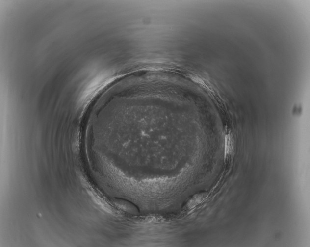 X0000089340243200706221123