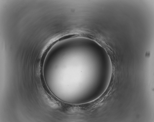 X0000089340244200706221123