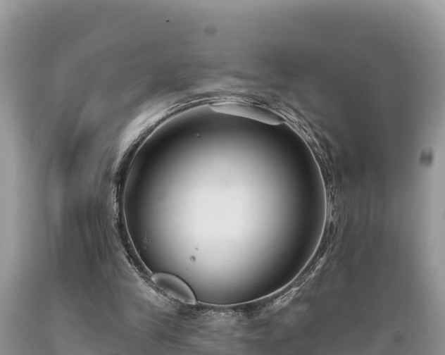 X0000089340245200706221123